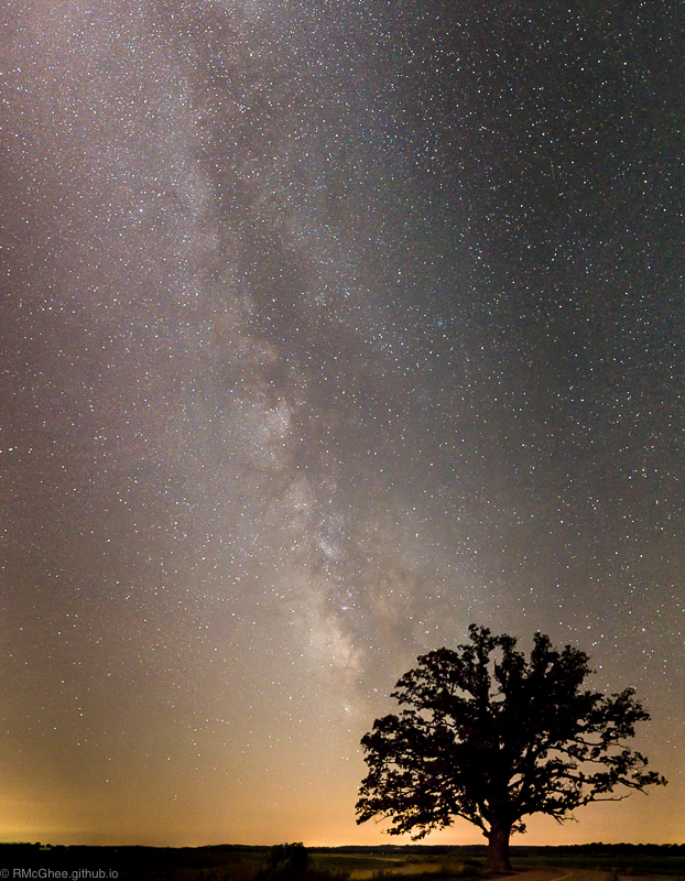 Galactic Core Rising over Big Tree. This is the galactic core of the milky way, visible late spring through August. This was taken 5 months after 'outer disk'