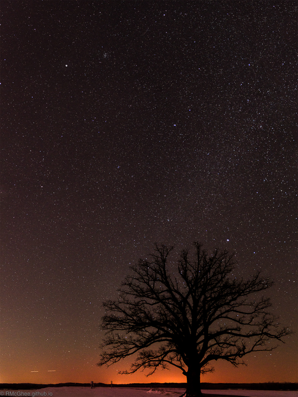 Big Tree, a local landmark, at night. This is the view during winter, when the outer disk of the milky way is prominent.